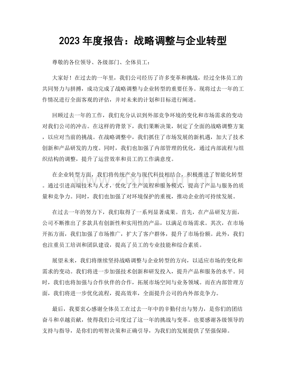 2023年度报告：战略调整与企业转型.docx_第1页