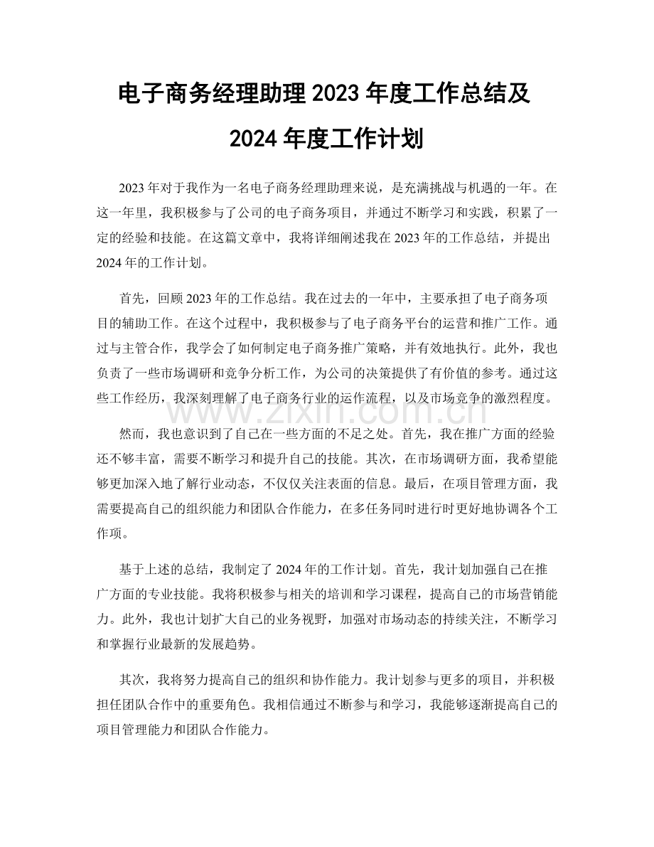 电子商务经理助理2023年度工作总结及2024年度工作计划.docx_第1页