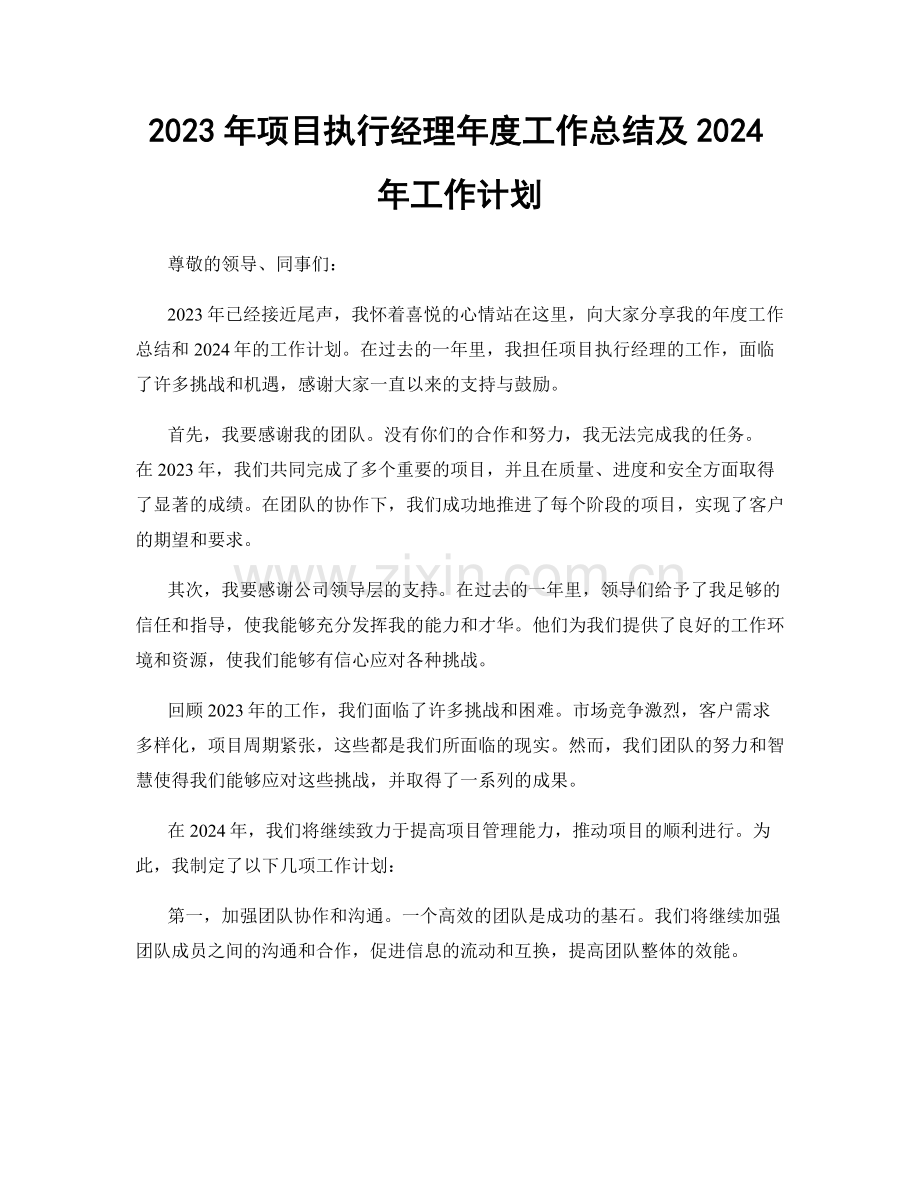 2023年项目执行经理年度工作总结及2024年工作计划.docx_第1页