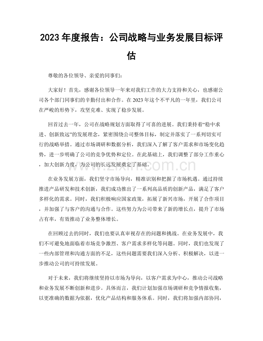 2023年度报告：公司战略与业务发展目标评估.docx_第1页