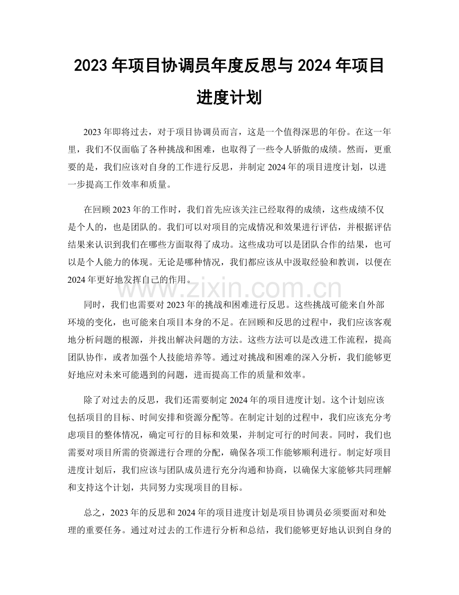 2023年项目协调员年度反思与2024年项目进度计划.docx_第1页