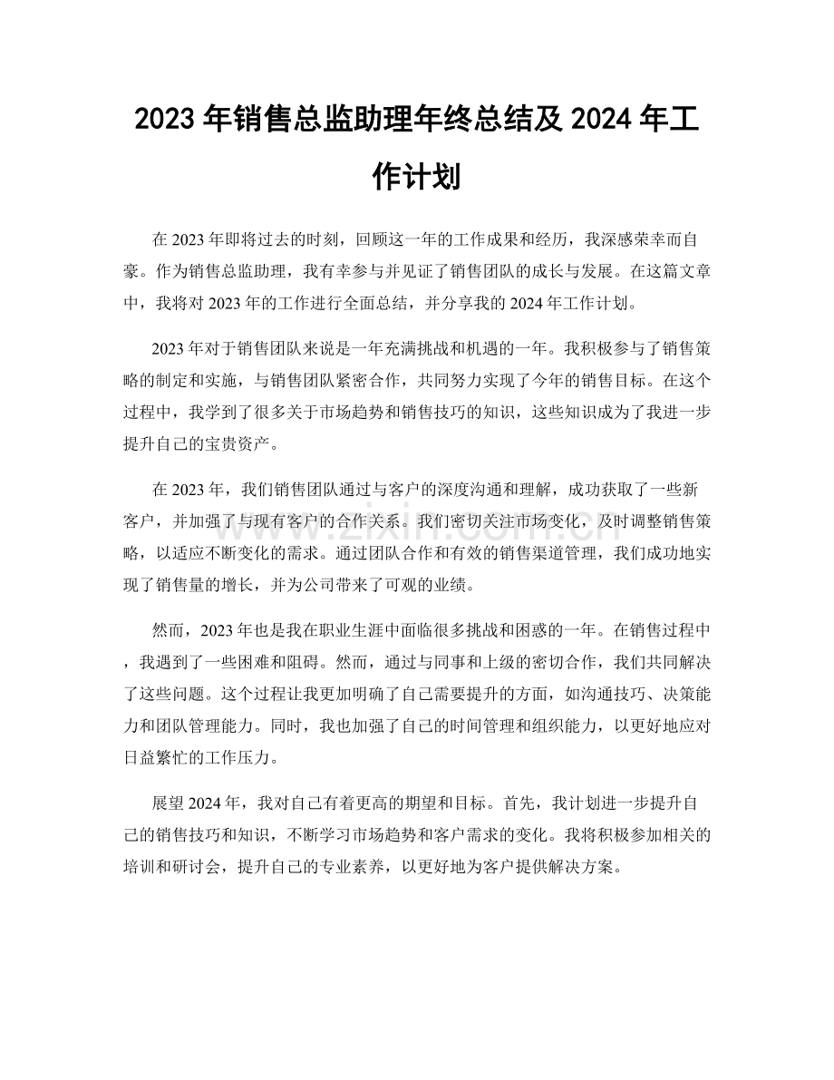 2023年销售总监助理年终总结及2024年工作计划.docx_第1页