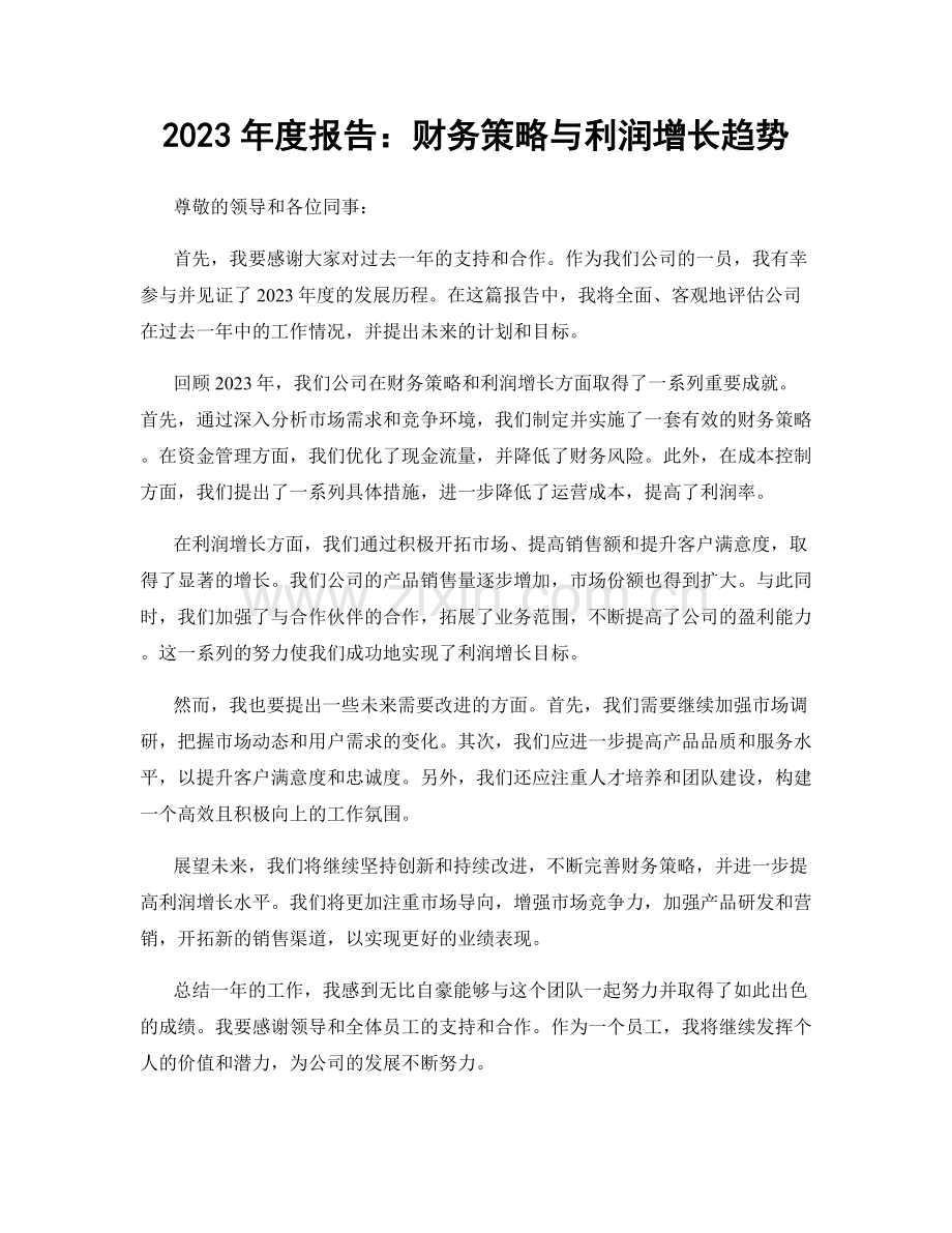 2023年度报告：财务策略与利润增长趋势.docx_第1页