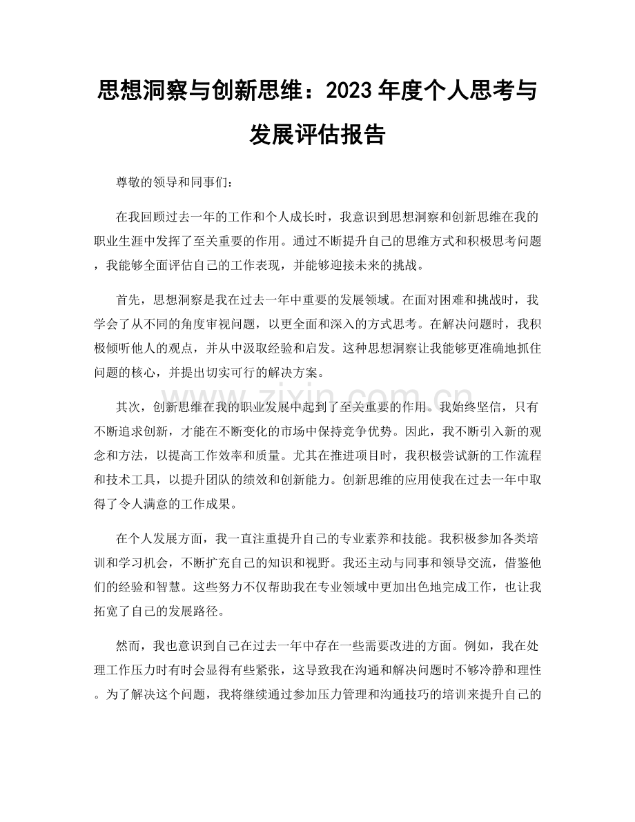 思想洞察与创新思维：2023年度个人思考与发展评估报告.docx_第1页