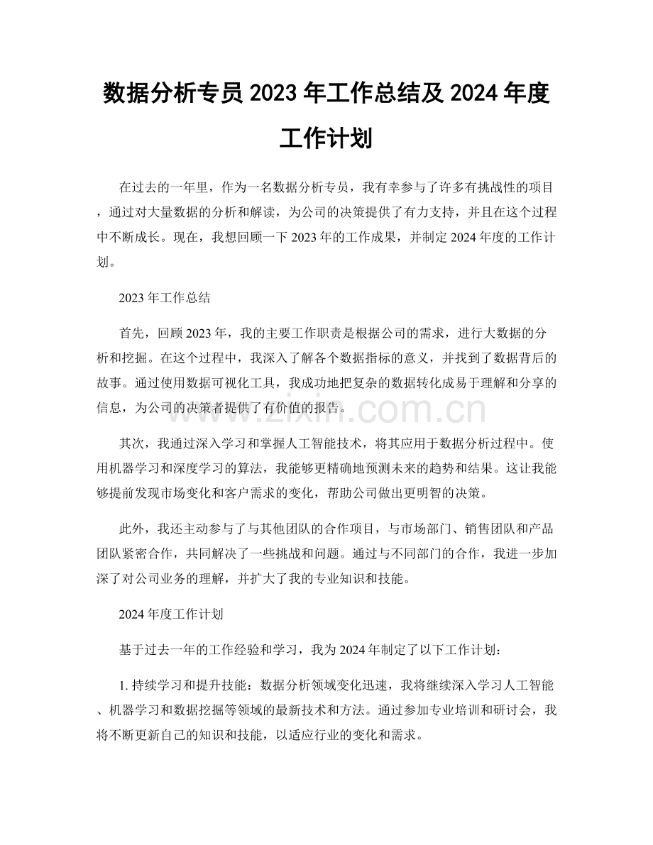 数据分析专员2023年工作总结及2024年度工作计划.docx_第1页