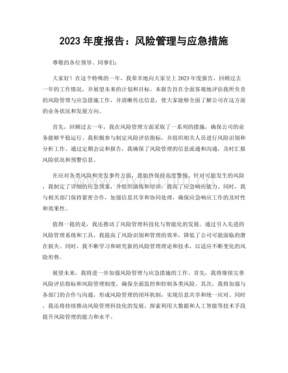 2023年度报告：风险管理与应急措施.docx_第1页