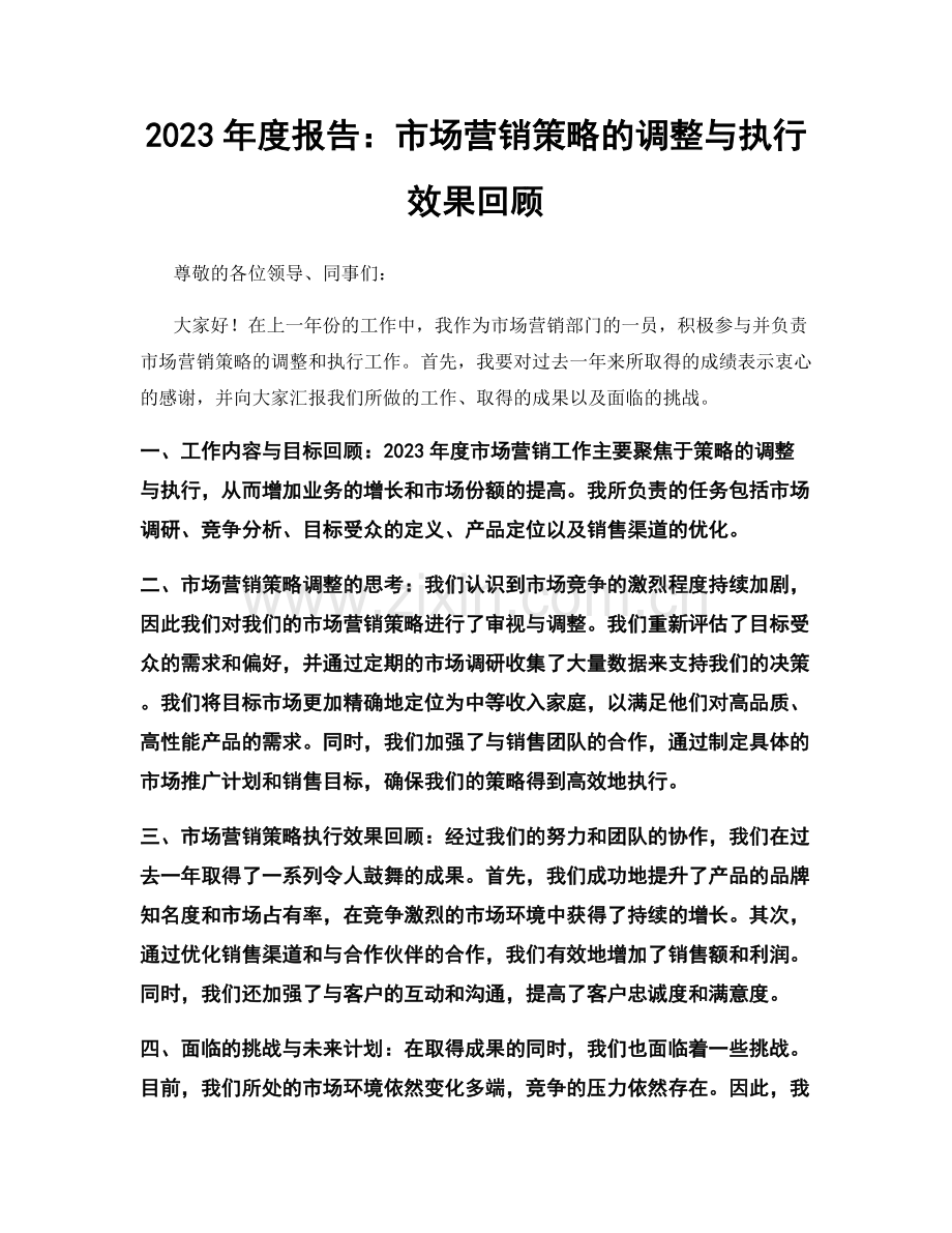 2023年度报告：市场营销策略的调整与执行效果回顾.docx_第1页