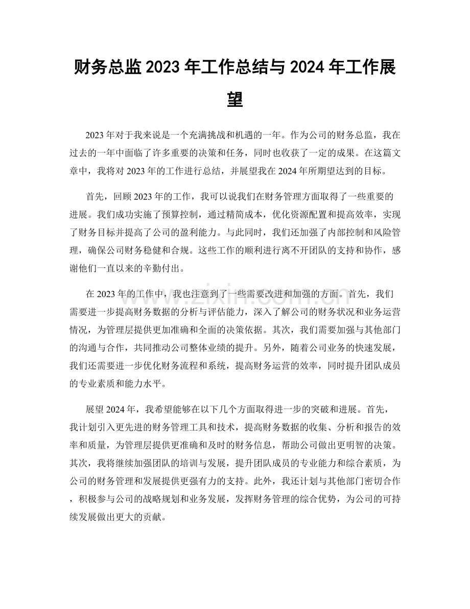 财务总监2023年工作总结与2024年工作展望.docx_第1页