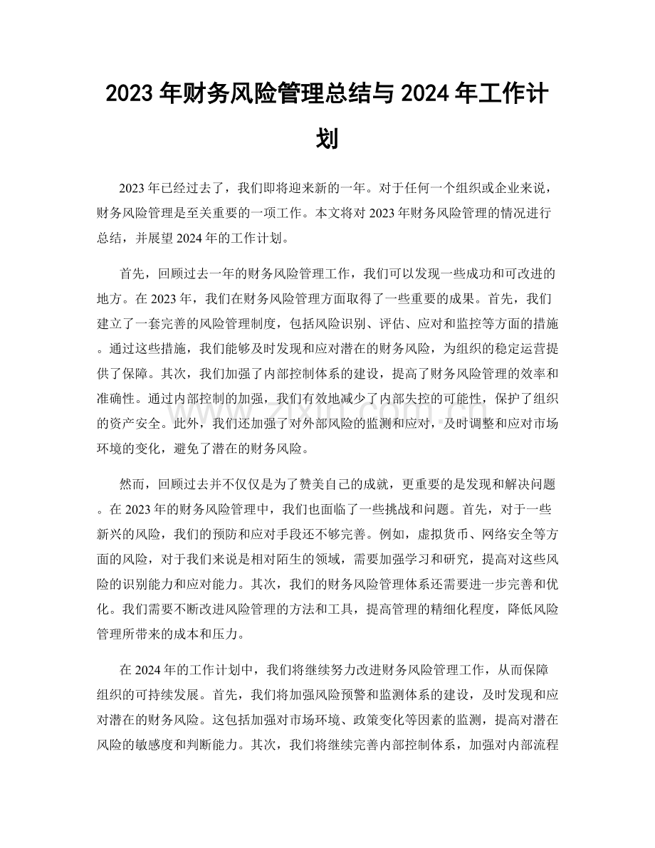 2023年财务风险管理总结与2024年工作计划.docx_第1页