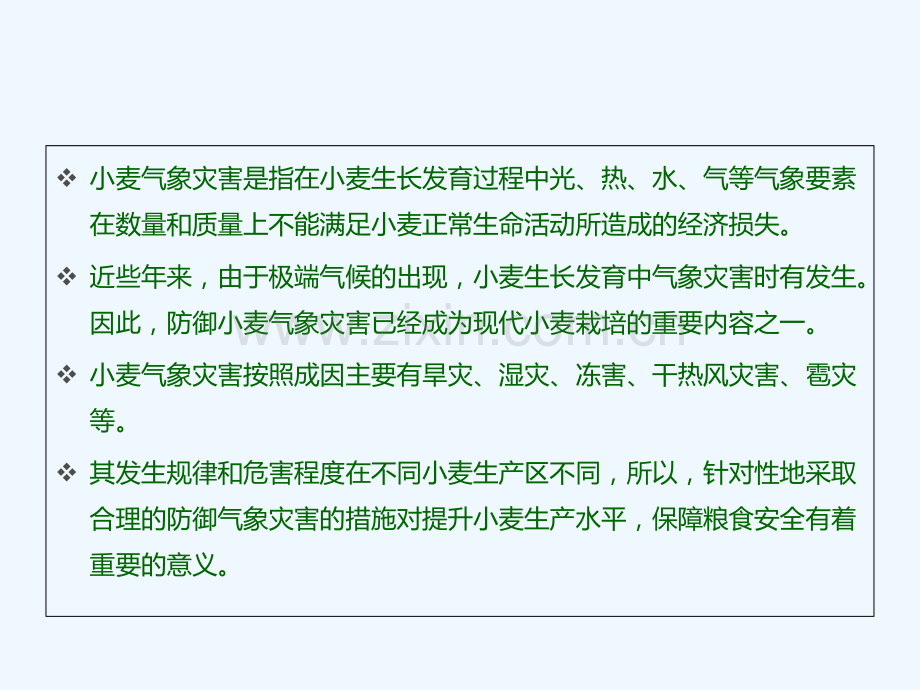 张保军小麦主要气象灾害及其防御.pptx_第1页