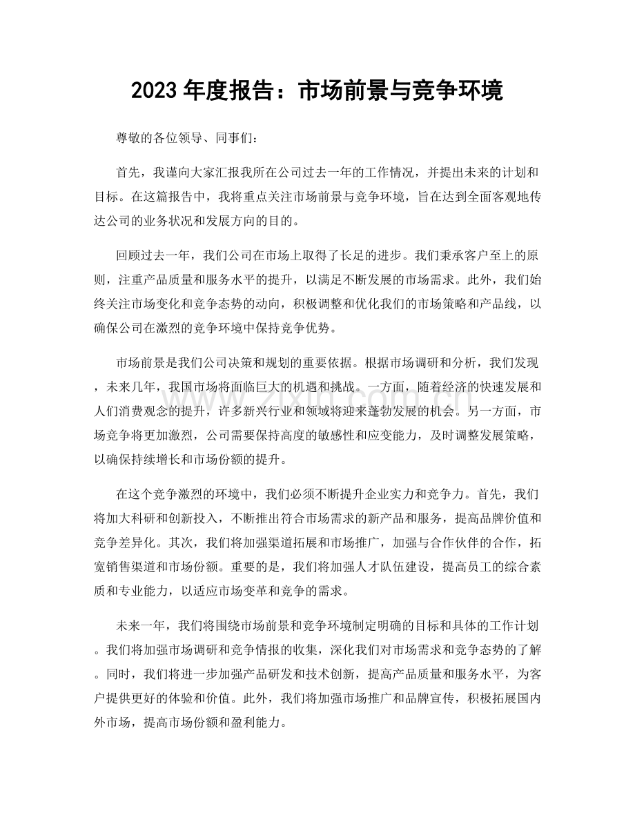 2023年度报告：市场前景与竞争环境.docx_第1页