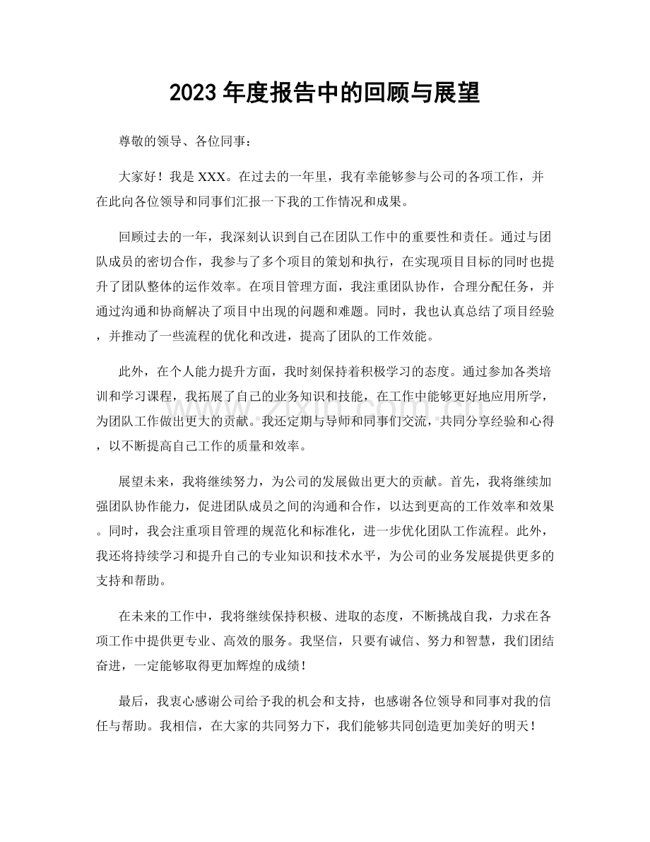 2023年度报告中的回顾与展望.docx_第1页