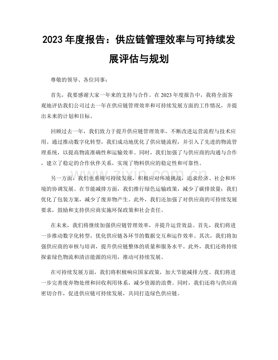 2023年度报告：供应链管理效率与可持续发展评估与规划.docx_第1页