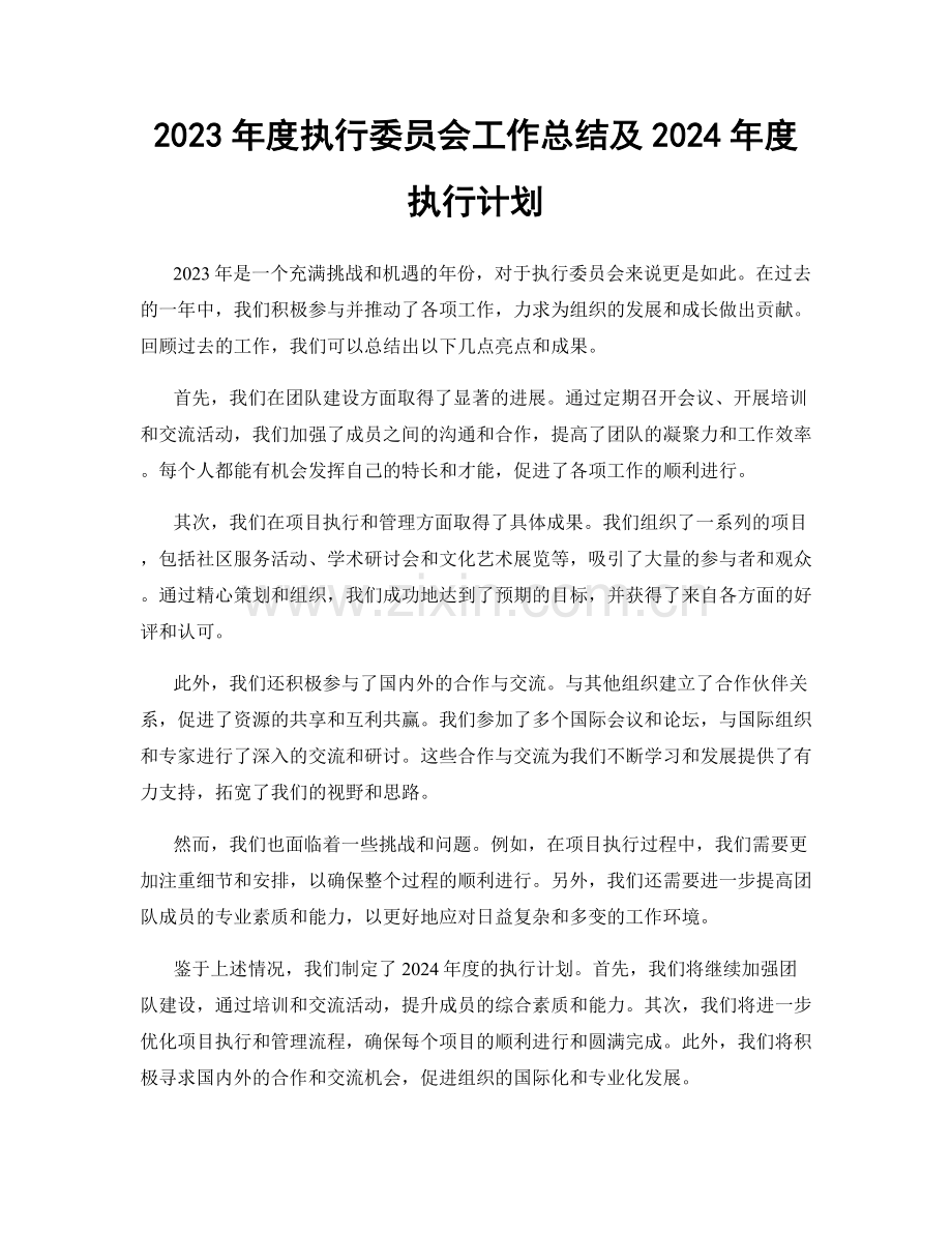 2023年度执行委员会工作总结及2024年度执行计划.docx_第1页