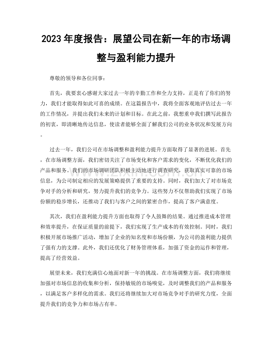 2023年度报告：展望公司在新一年的市场调整与盈利能力提升.docx_第1页