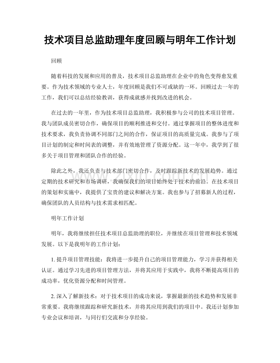 技术项目总监助理年度回顾与明年工作计划.docx_第1页