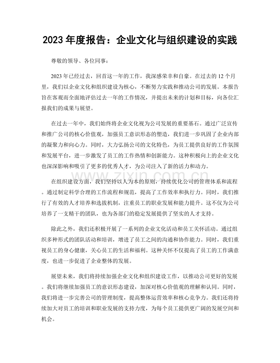 2023年度报告：企业文化与组织建设的实践.docx_第1页