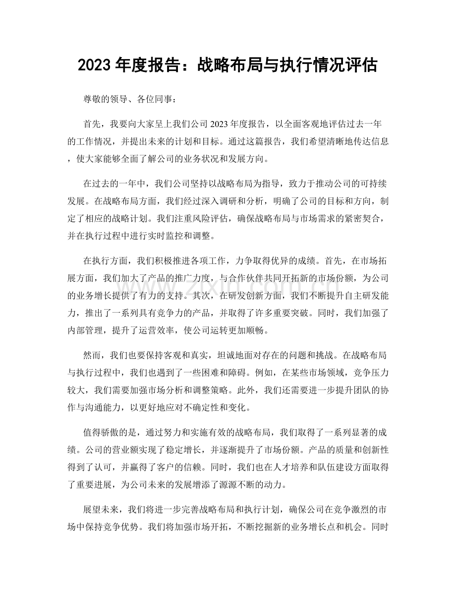 2023年度报告：战略布局与执行情况评估.docx_第1页