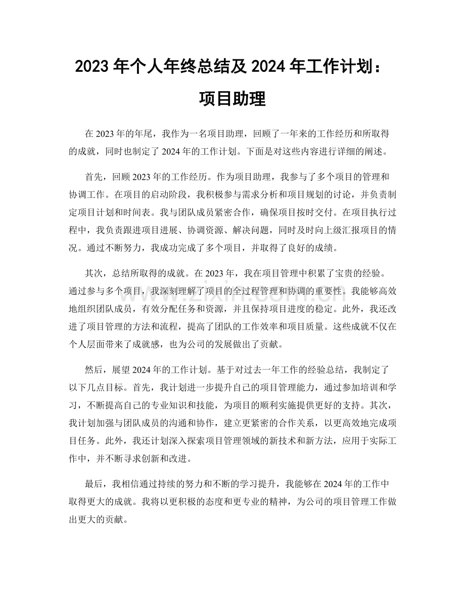 2023年个人年终总结及2024年工作计划：项目助理.docx_第1页