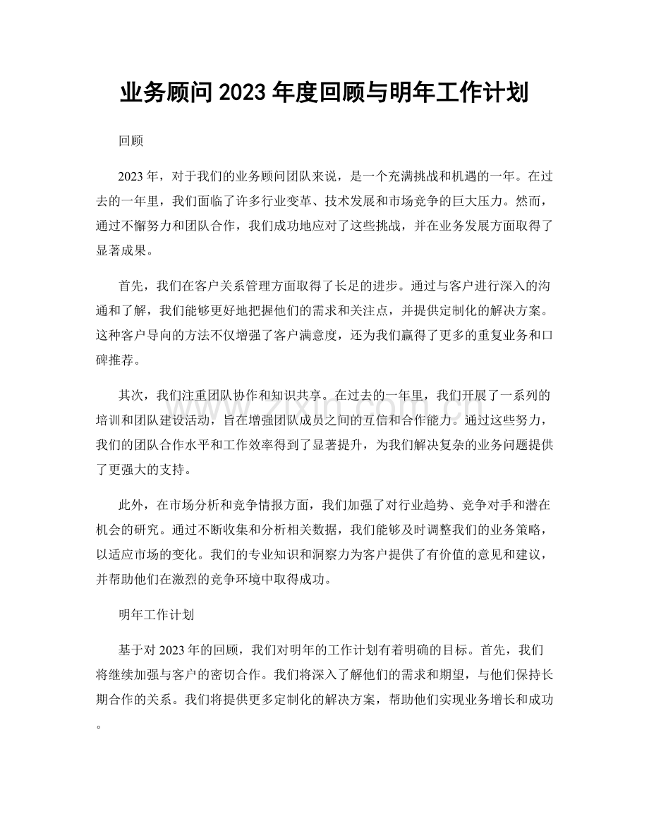 业务顾问2023年度回顾与明年工作计划.docx_第1页