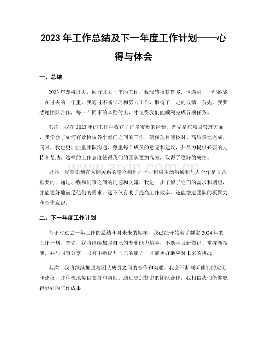 2023年工作总结及下一年度工作计划——心得与体会.docx_第1页