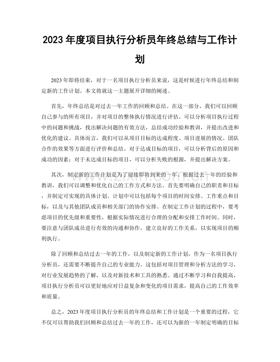 2023年度项目执行分析员年终总结与工作计划.docx_第1页