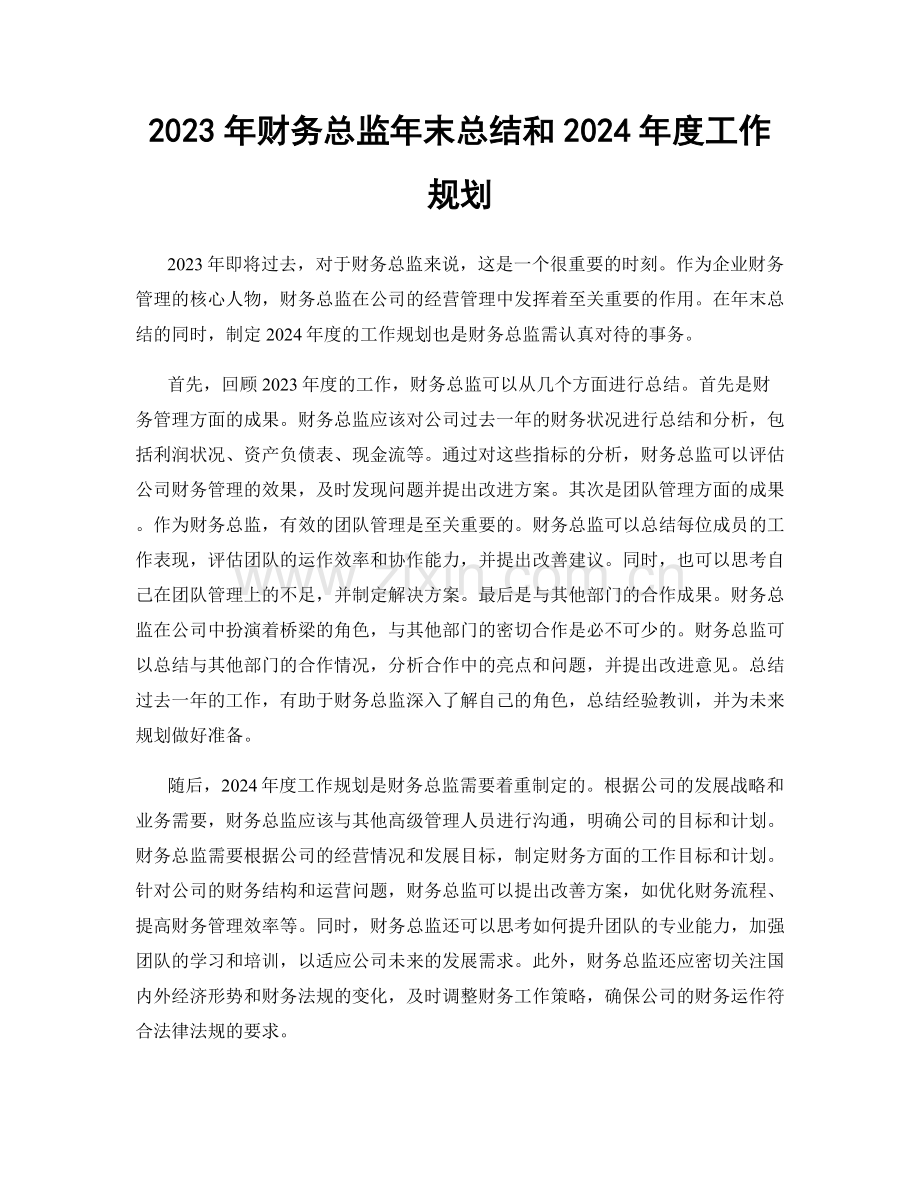 2023年财务总监年末总结和2024年度工作规划.docx_第1页