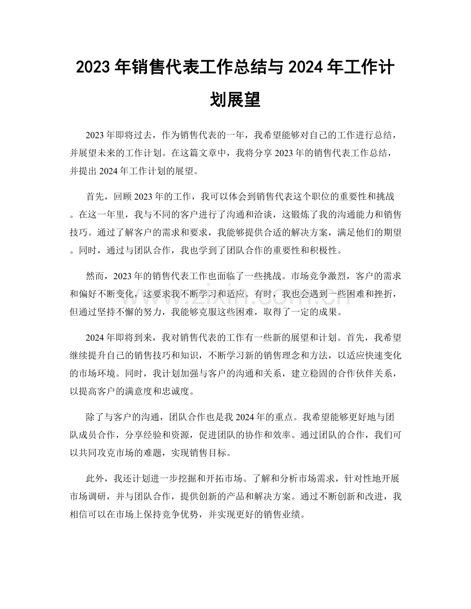 2023年销售代表工作总结与2024年工作计划展望.docx_第1页