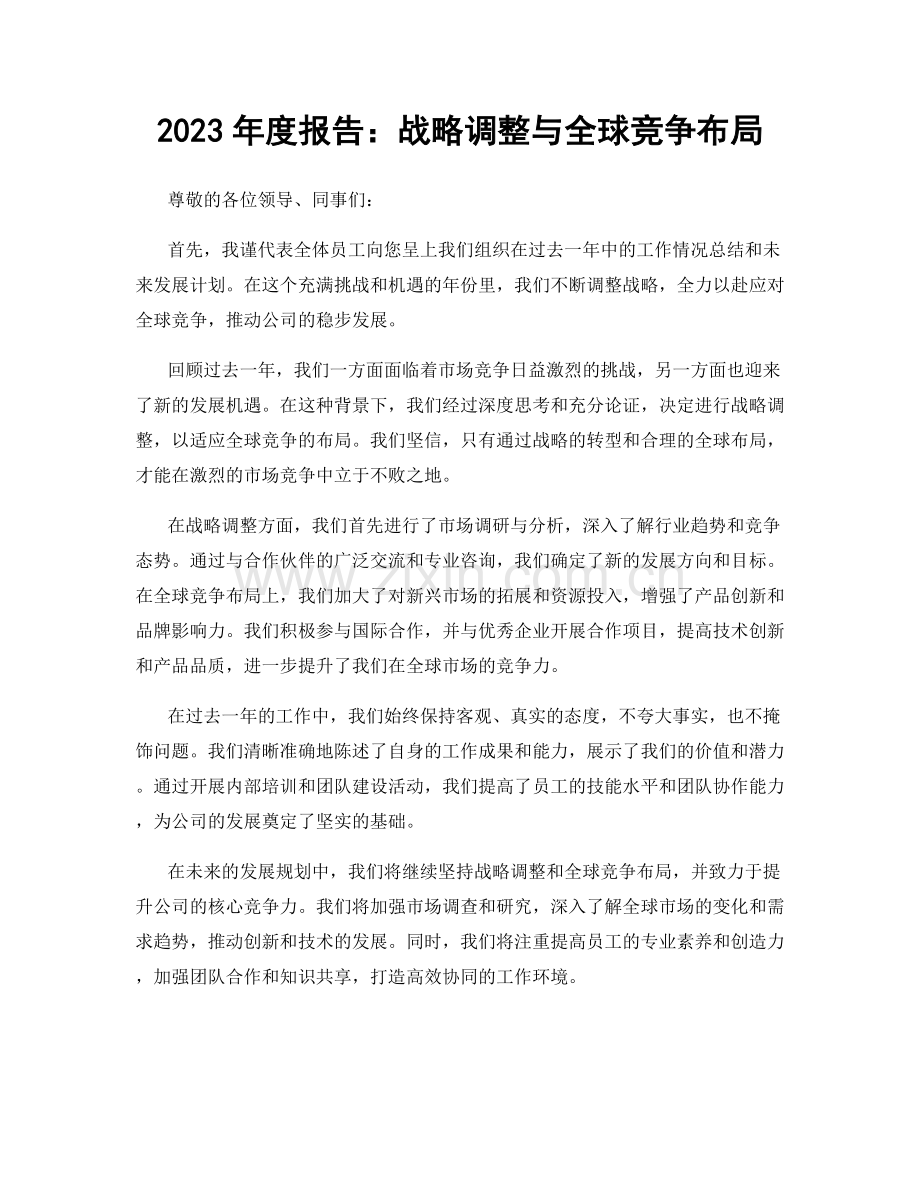 2023年度报告：战略调整与全球竞争布局.docx_第1页