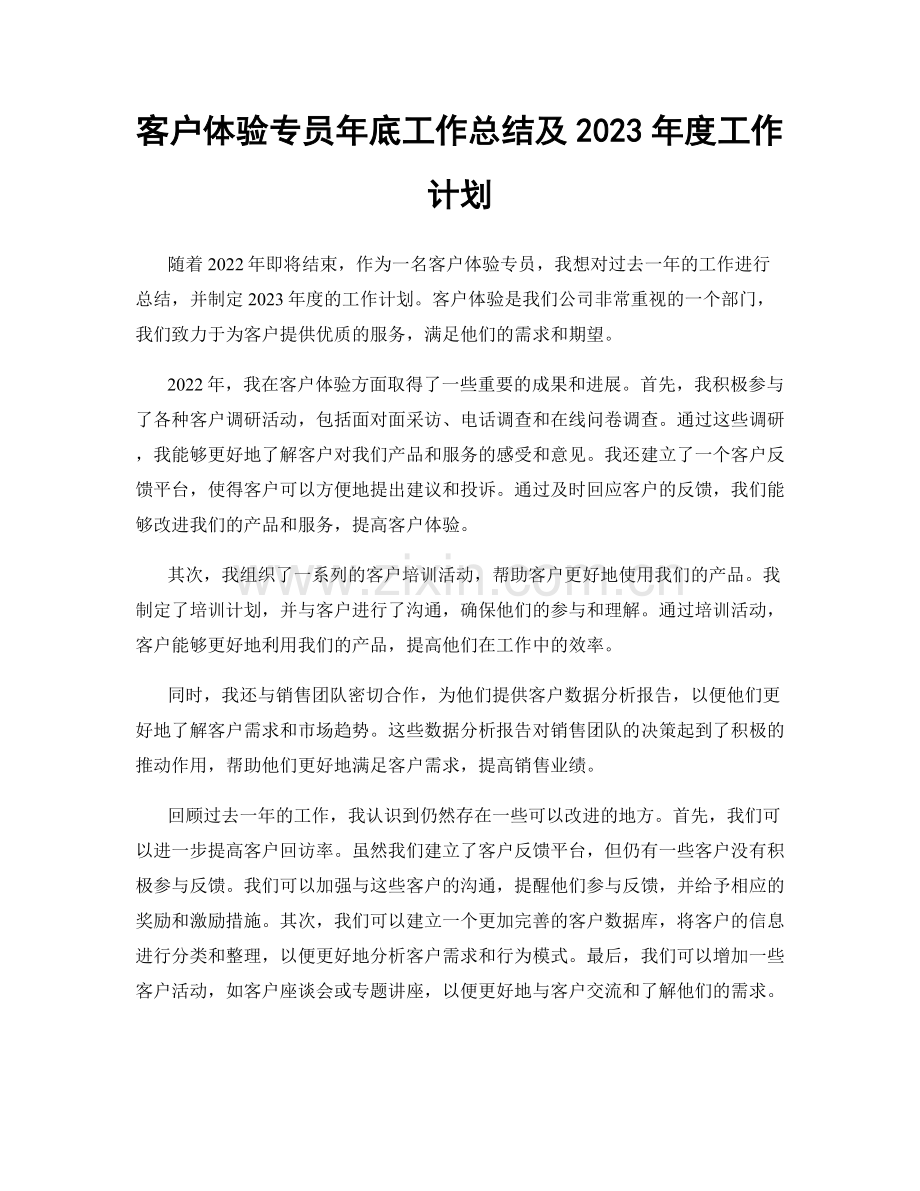 客户体验专员年底工作总结及2023年度工作计划.docx_第1页