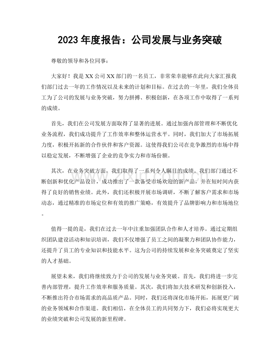 2023年度报告：公司发展与业务突破.docx_第1页