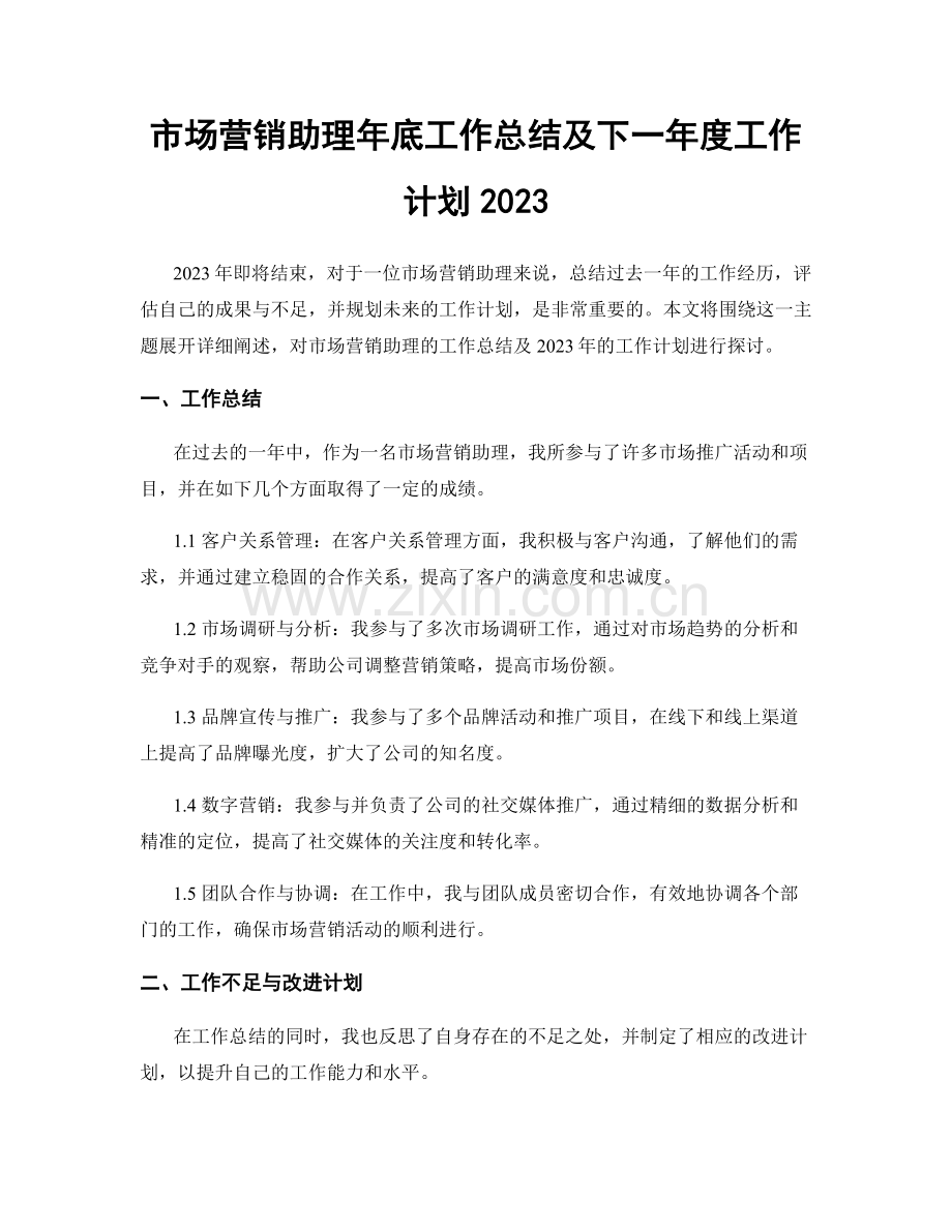 市场营销助理年底工作总结及下一年度工作计划2023.docx_第1页