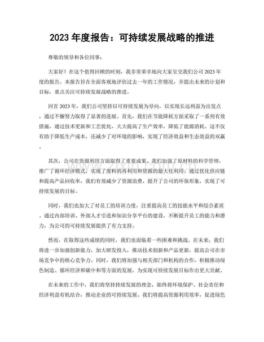 2023年度报告：可持续发展战略的推进.docx_第1页