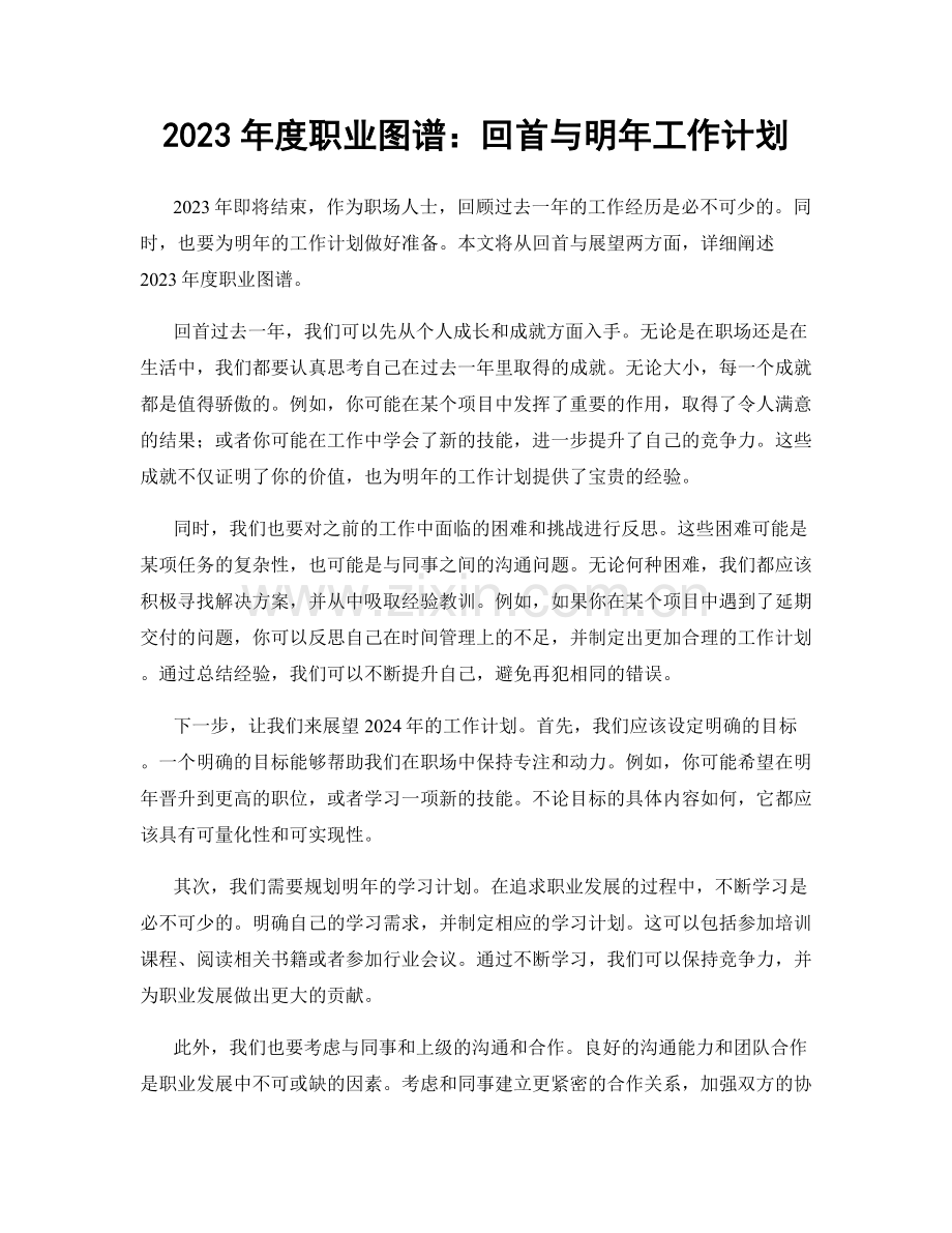 2023年度职业图谱：回首与明年工作计划.docx_第1页