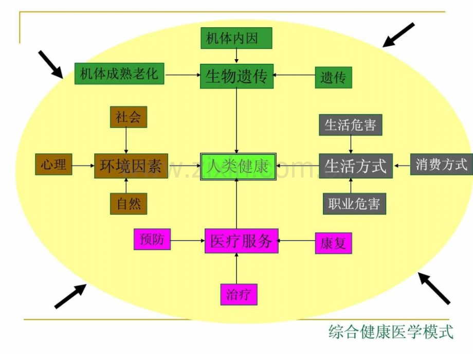 行为生活方式与健康.pptx_第2页