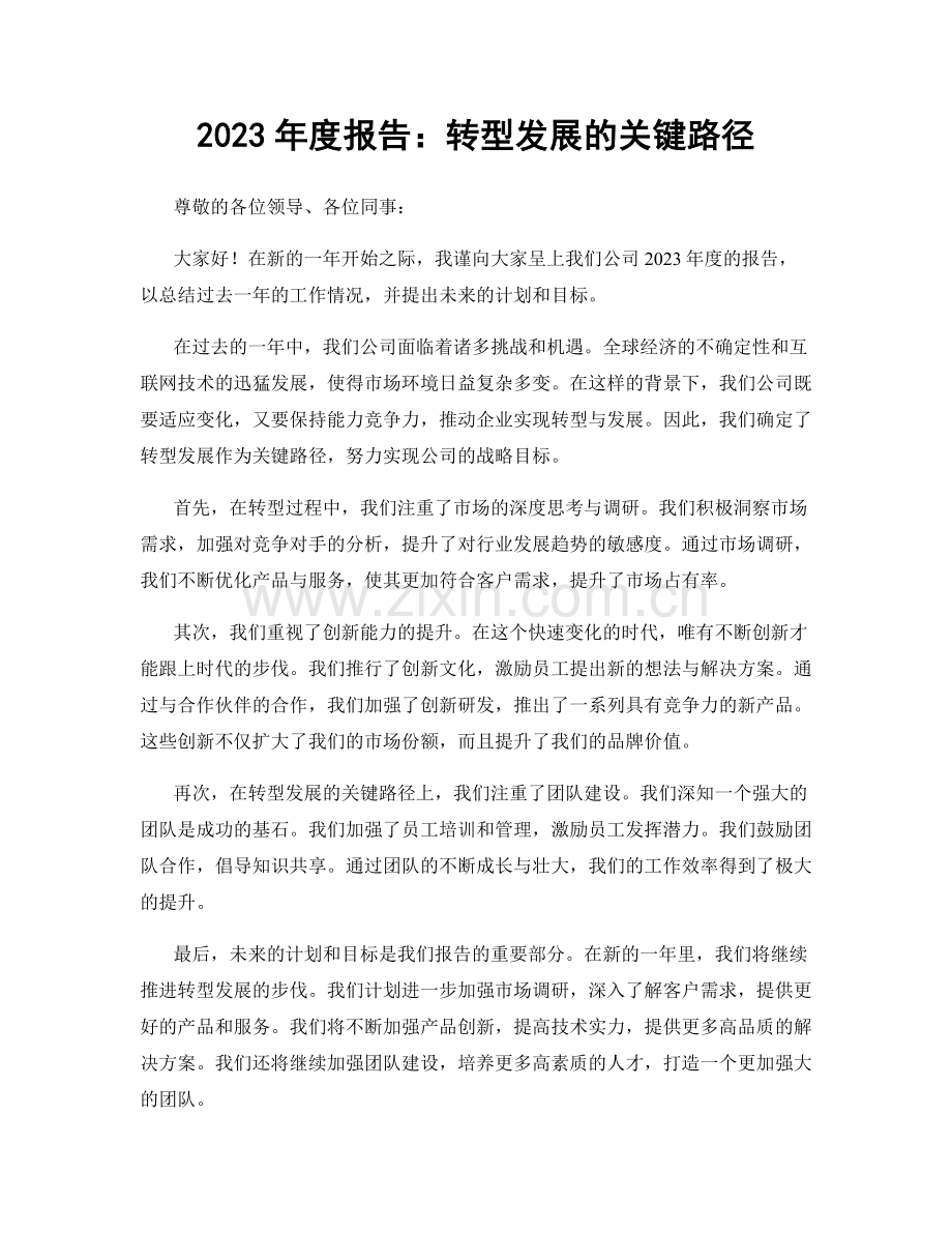 2023年度报告：转型发展的关键路径.docx_第1页