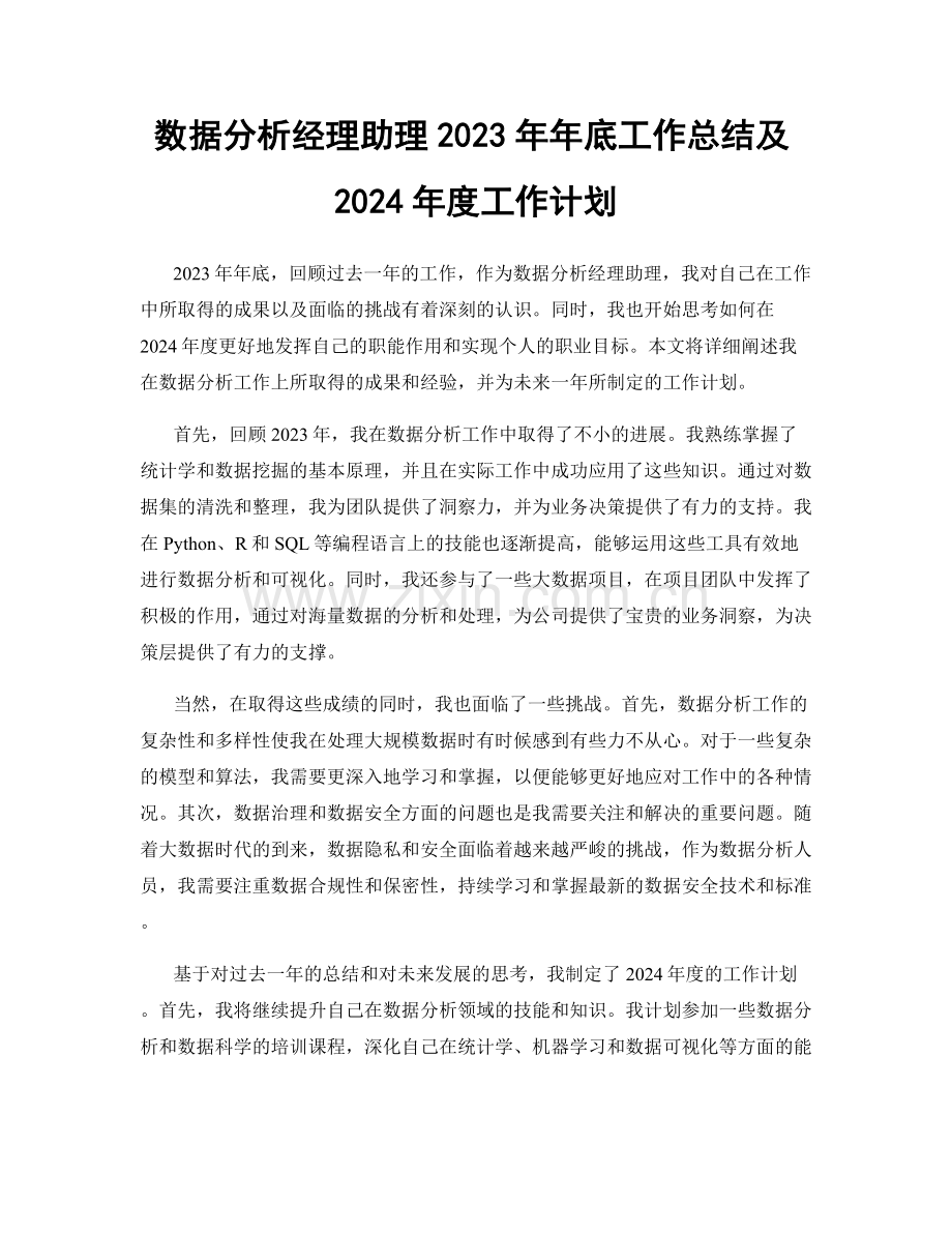 数据分析经理助理2023年年底工作总结及2024年度工作计划.docx_第1页