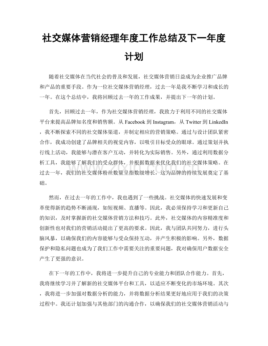 社交媒体营销经理年度工作总结及下一年度计划.docx_第1页