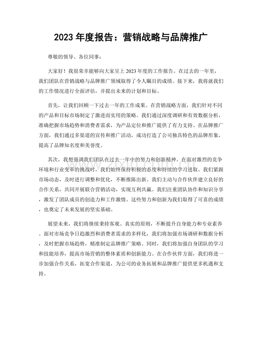 2023年度报告：营销战略与品牌推广.docx_第1页