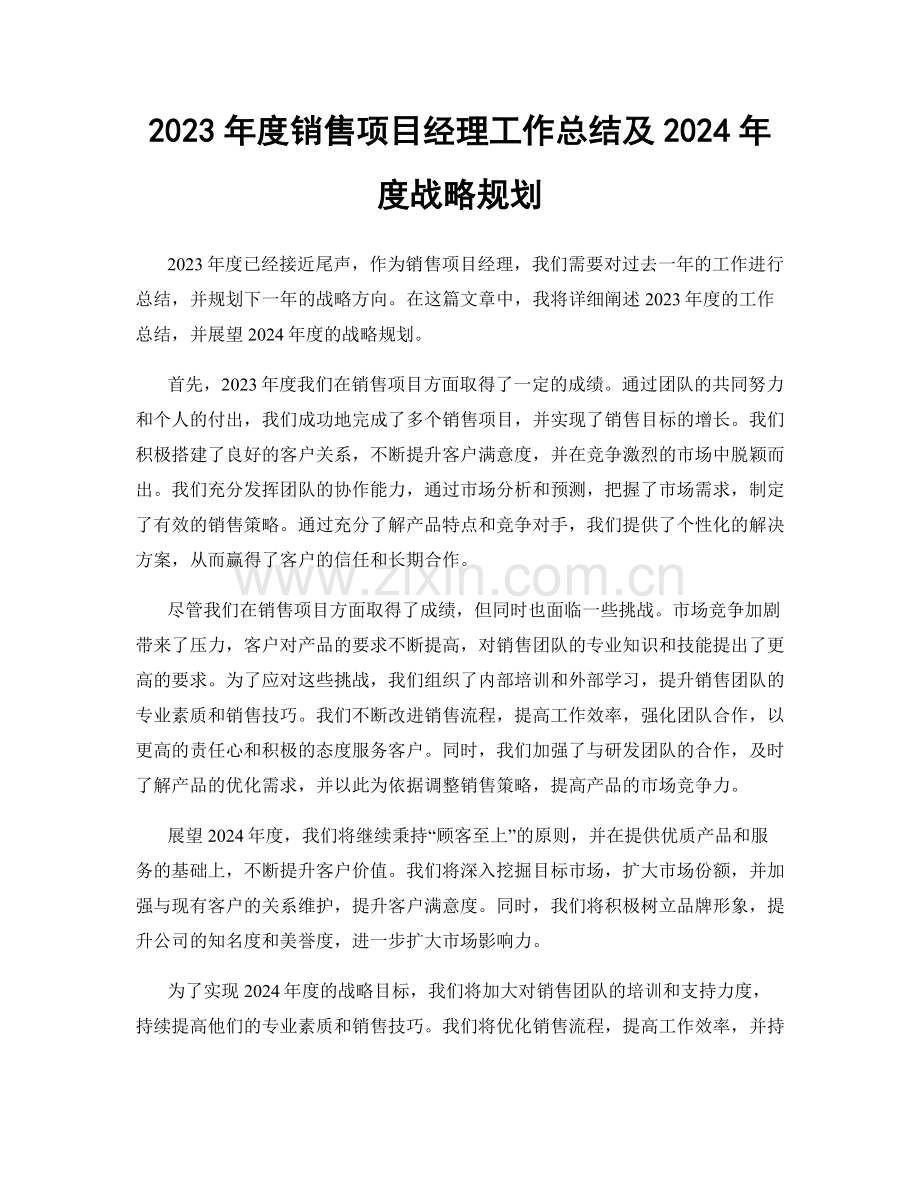 2023年度销售项目经理工作总结及2024年度战略规划.docx_第1页