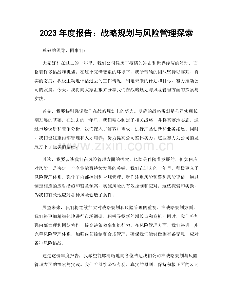 2023年度报告：战略规划与风险管理探索.docx_第1页