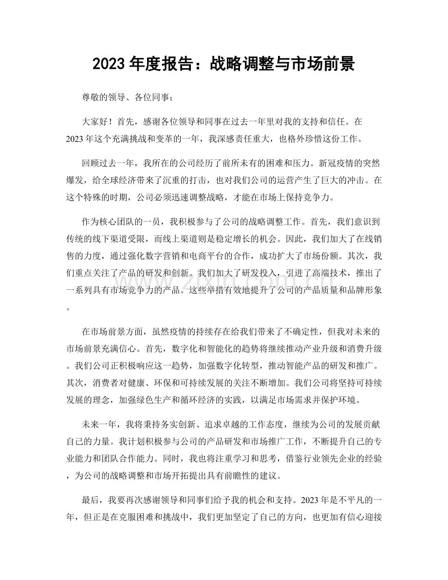 2023年度报告：战略调整与市场前景.docx_第1页