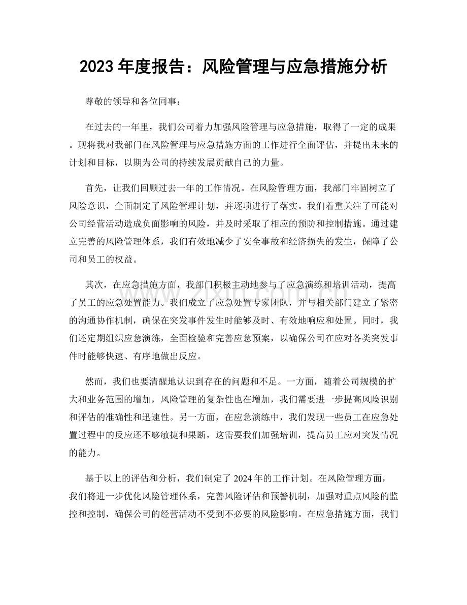 2023年度报告：风险管理与应急措施分析.docx_第1页