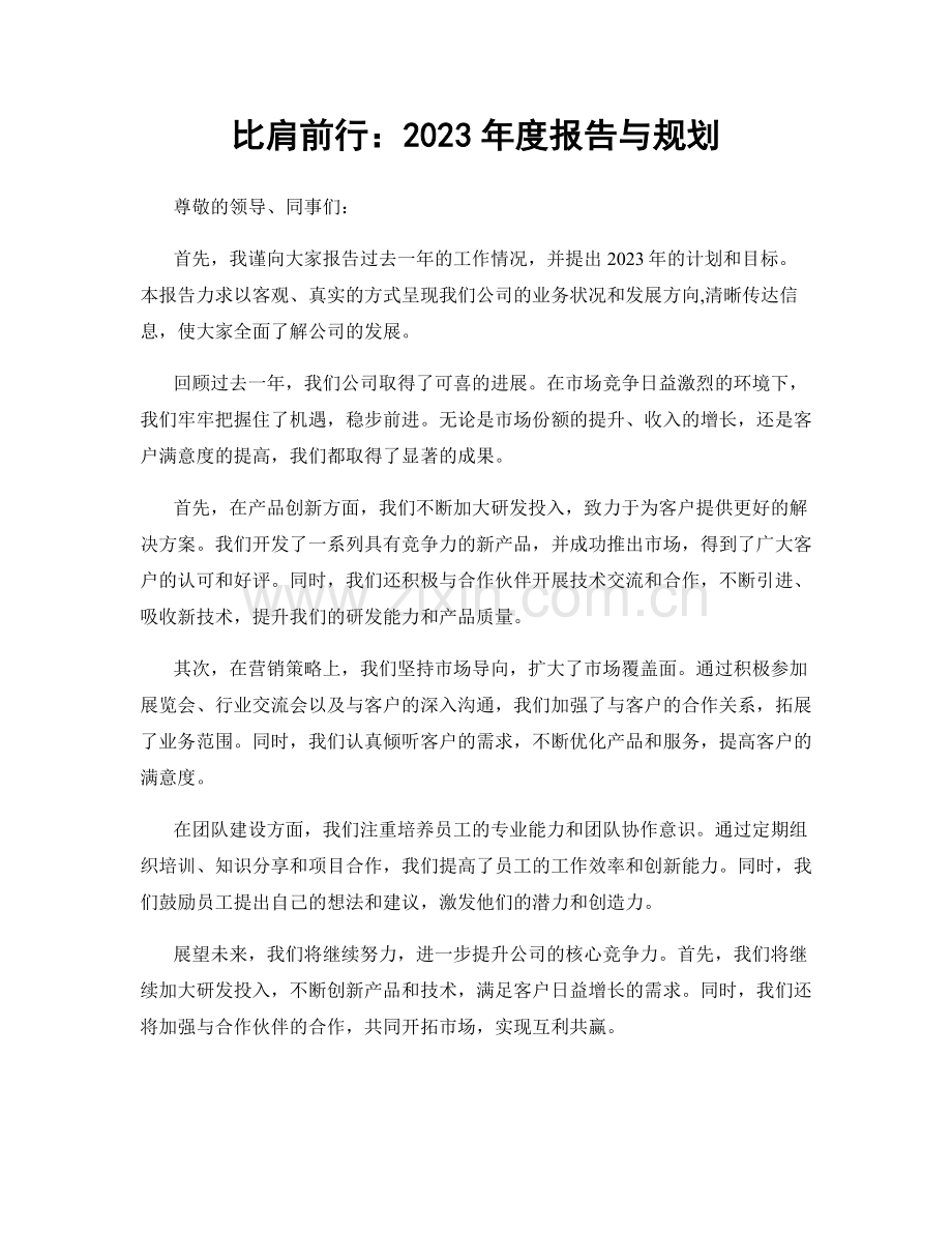 比肩前行：2023年度报告与规划.docx_第1页