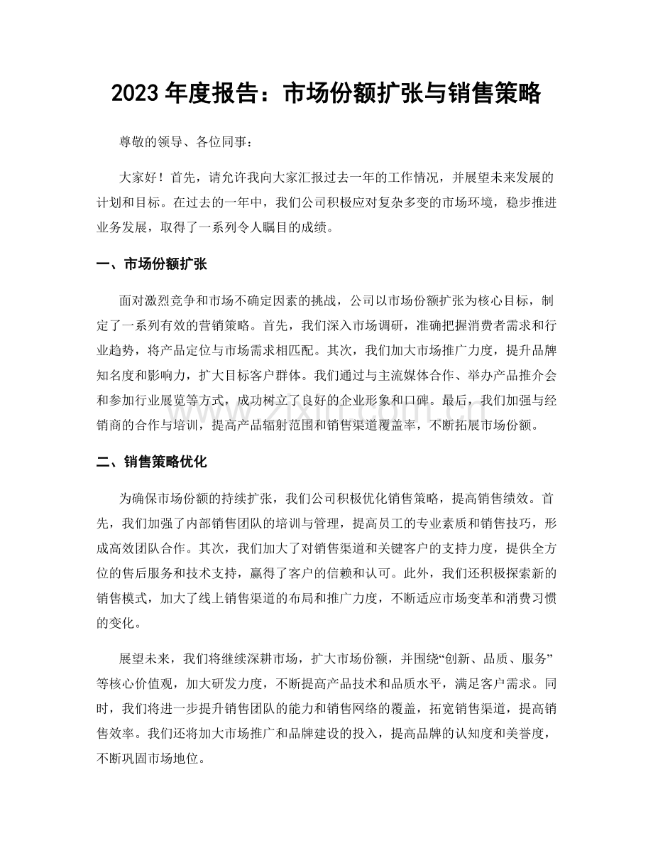 2023年度报告：市场份额扩张与销售策略.docx_第1页