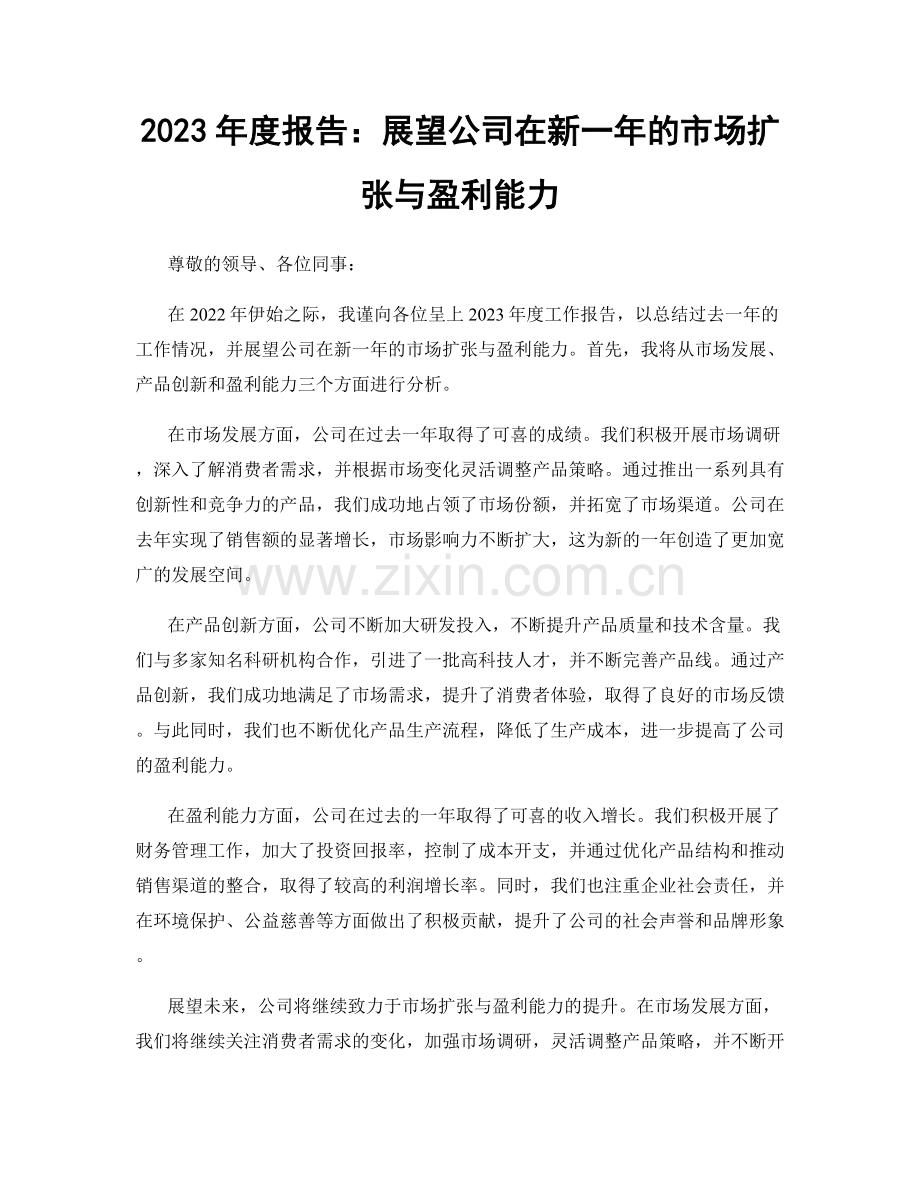 2023年度报告：展望公司在新一年的市场扩张与盈利能力.docx_第1页