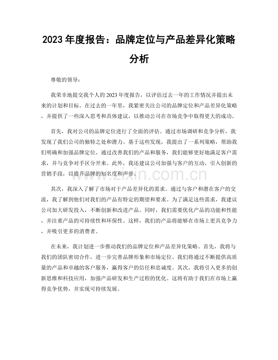 2023年度报告：品牌定位与产品差异化策略分析.docx_第1页