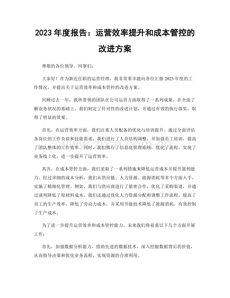 2023年度报告：运营效率提升和成本管控的改进方案.docx_第1页