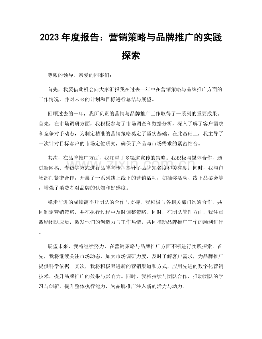 2023年度报告：营销策略与品牌推广的实践探索.docx_第1页