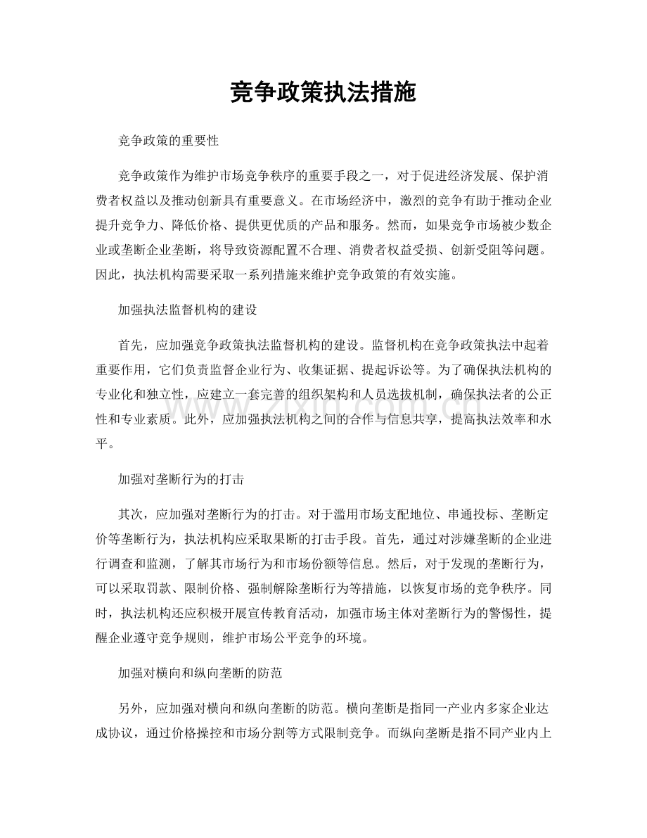 竞争政策执法措施.docx_第1页